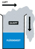 Dampf1-2022
